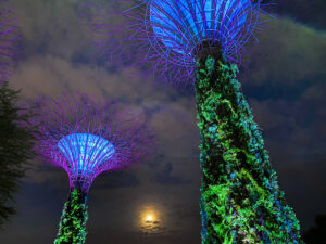 Supertrees Garden By The Bay