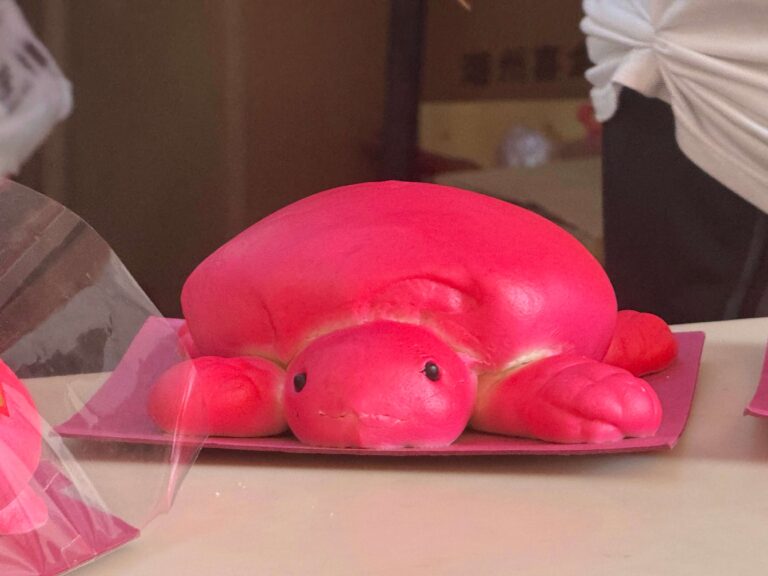 hey lad tour of gin the cake maker